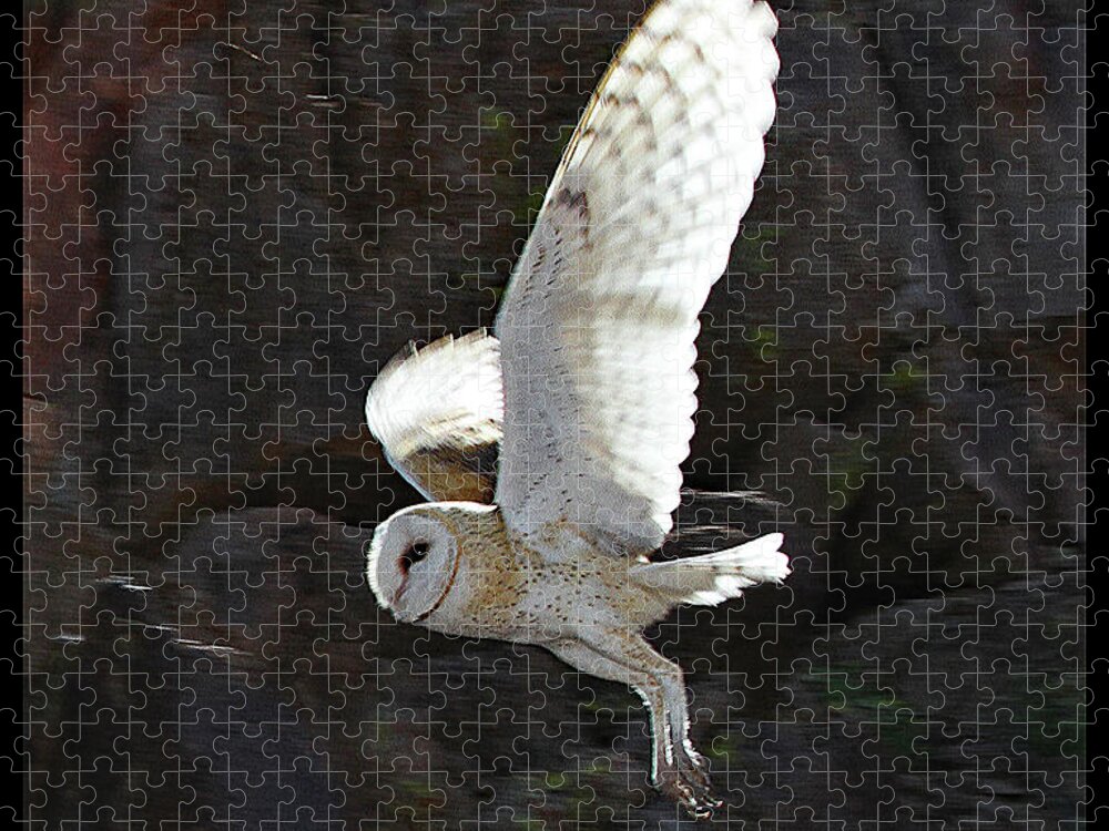 Barn Owl At My Gold Mine Jigsaw Puzzle featuring the digital art Barn Owl At My Gold Mine #1 by Tom Janca