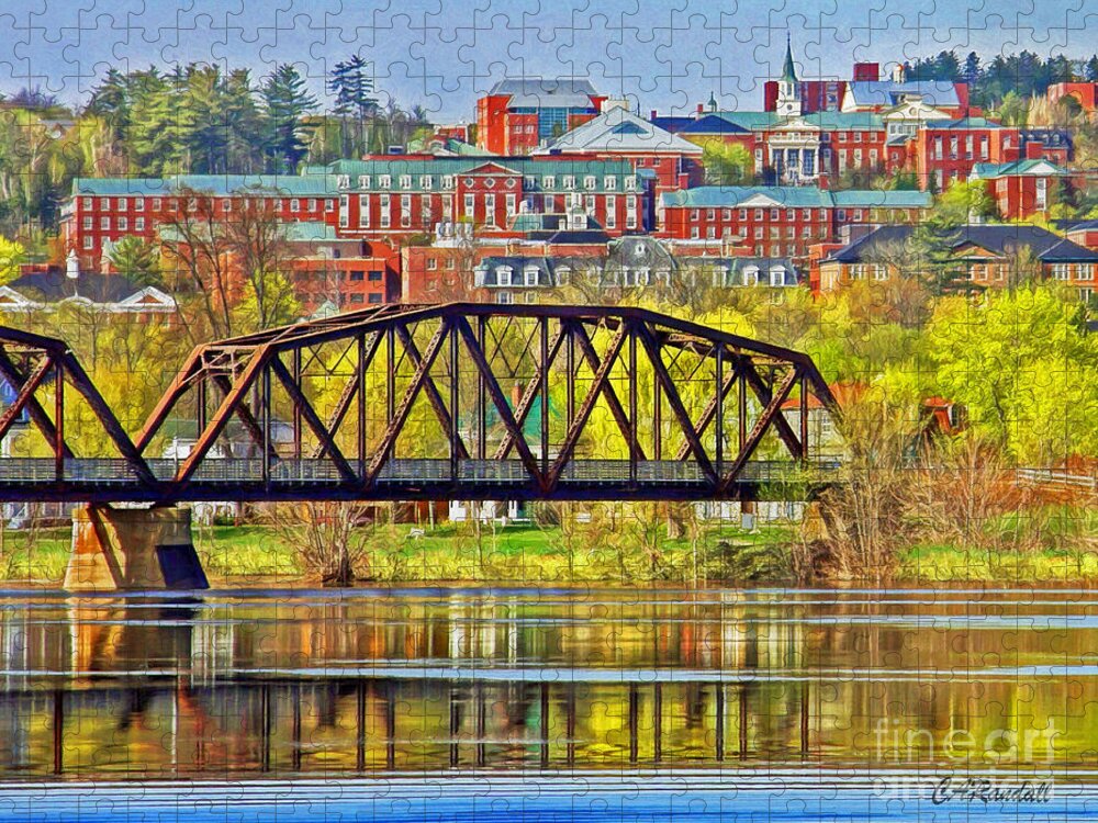 Campus Jigsaw Puzzle featuring the photograph Campus In Spring by Carol Randall