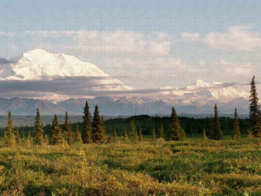 Snow Jigsaw Puzzle featuring the photograph Denali From Wonder Lake Area #1 by John Elk