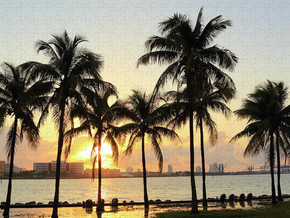 Scenics Jigsaw Puzzle featuring the photograph Florida Miami #1 by Shunyufan