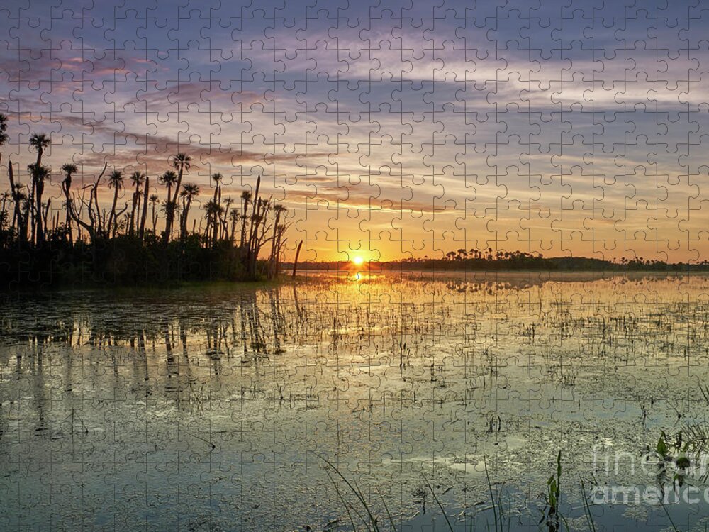 Usa Jigsaw Puzzle featuring the photograph Florida Sunrise #1 by Brian Kamprath