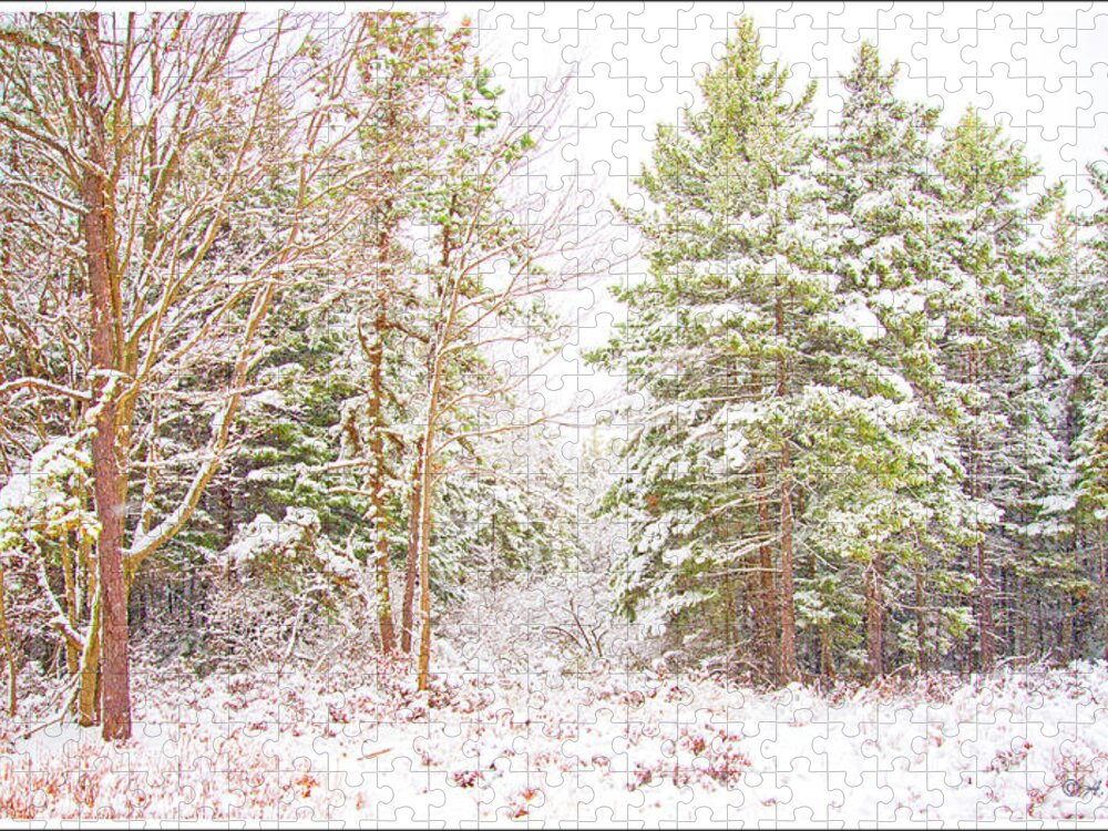 Forest Jigsaw Puzzle featuring the photograph Forest Edge in Snow, Pocono Mountains, Pennsylvania #2 by A Macarthur Gurmankin