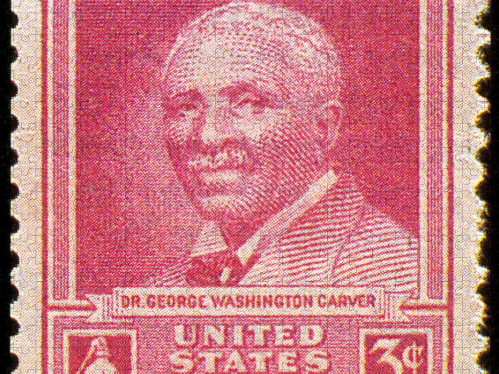 1948 Jigsaw Puzzle featuring the photograph George W. Carver, U.s. Postage Stamp #1 by Science Source
