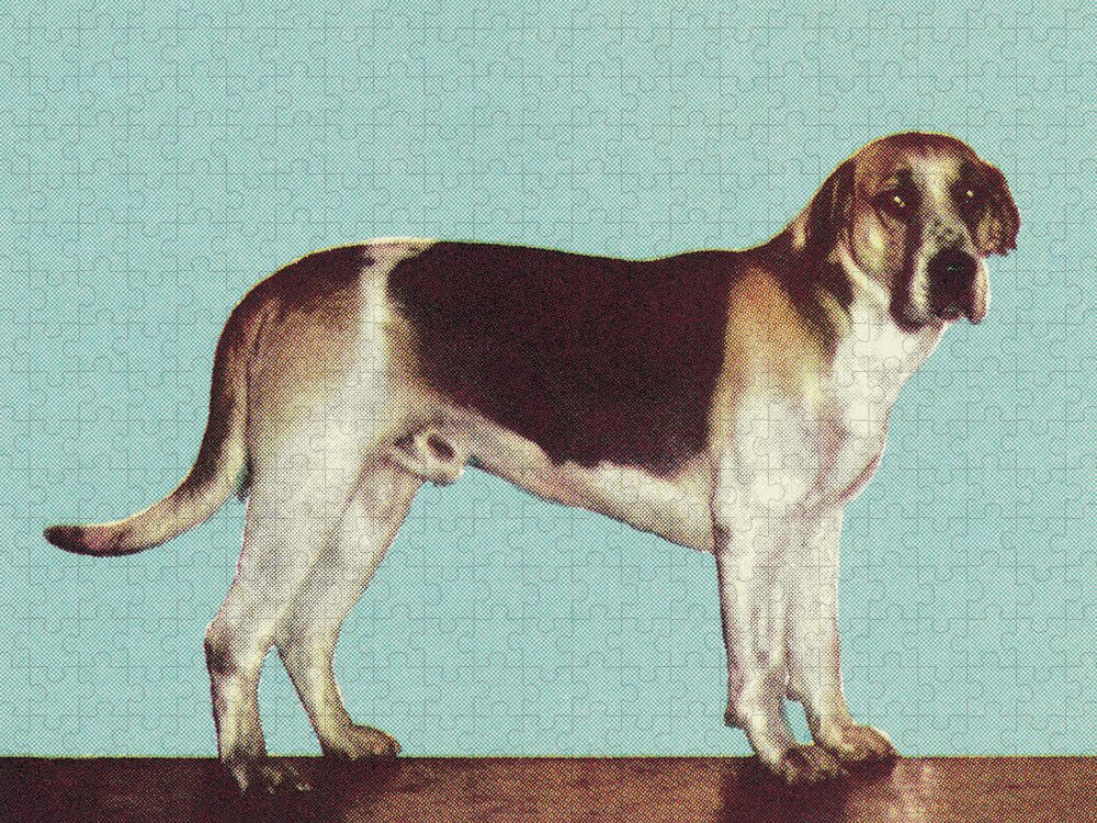 Animal Jigsaw Puzzle featuring the drawing Hound Dog #1 by CSA Images