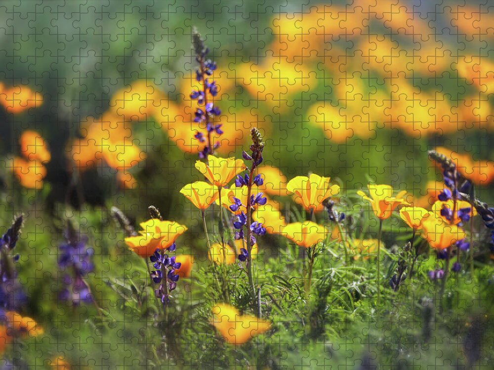 Poppies Jigsaw Puzzle featuring the photograph It's A Spring Thing #2 by Saija Lehtonen