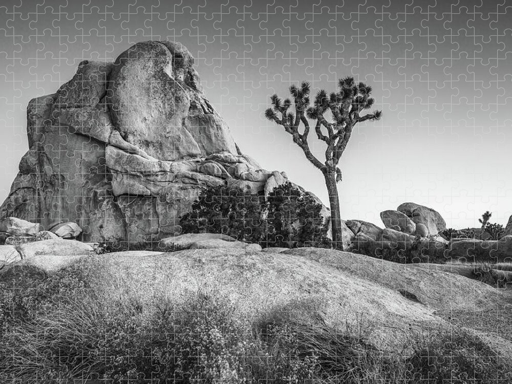 Monochrome Jigsaw Puzzle featuring the photograph Joshua tree and Intersection rock #1 by Davorin Mance