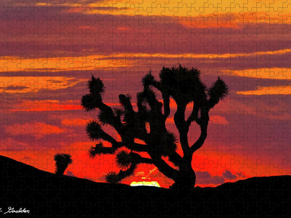 Arid Climate Jigsaw Puzzle featuring the photograph Joshua Tree at Sunset by Jeff Goulden