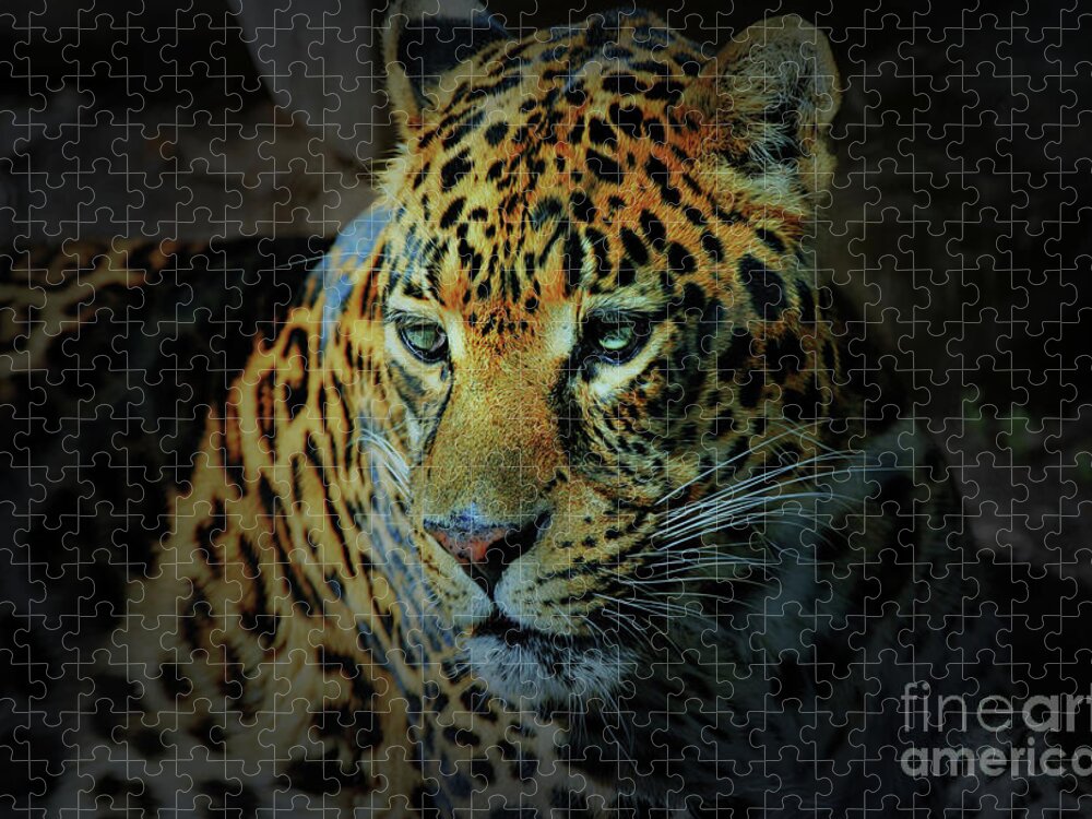 Whiskers Jigsaw Puzzle featuring the photograph Leopard by Savannah Gibbs