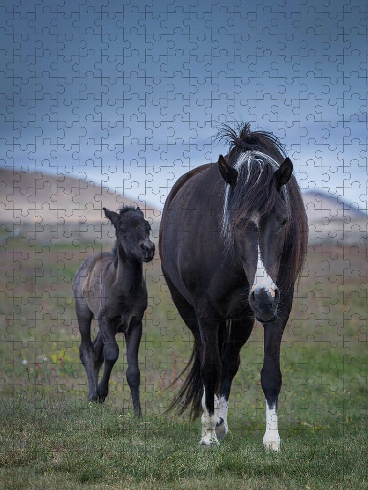 Horse Jigsaw Puzzle featuring the photograph Mare And Foal #1 by Arctic-images