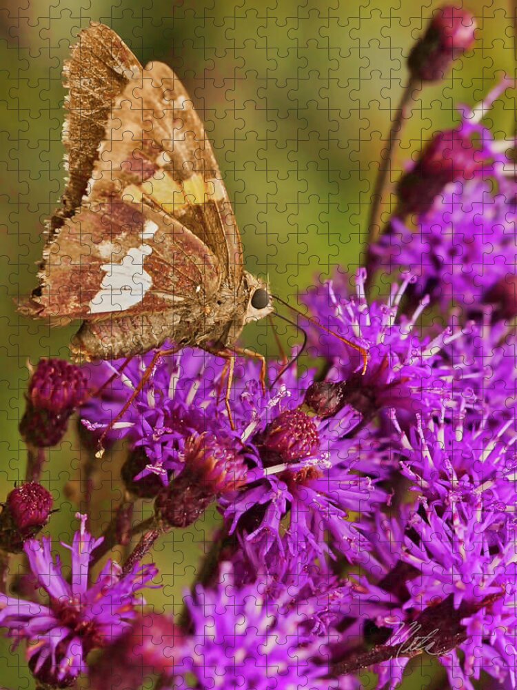 Macro Photography Jigsaw Puzzle featuring the photograph Moth On Purple Flowers #1 by Meta Gatschenberger