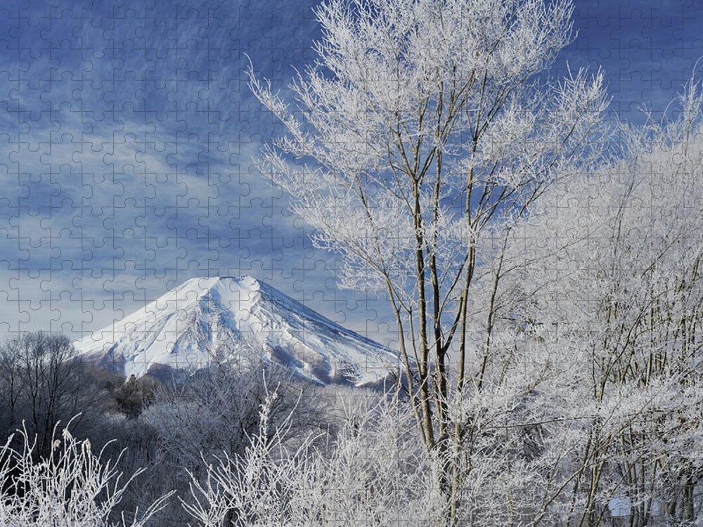 Tranquility Jigsaw Puzzle featuring the photograph Mt. Fuji And Frost-covered Trees #1 by Toyofumi Mori