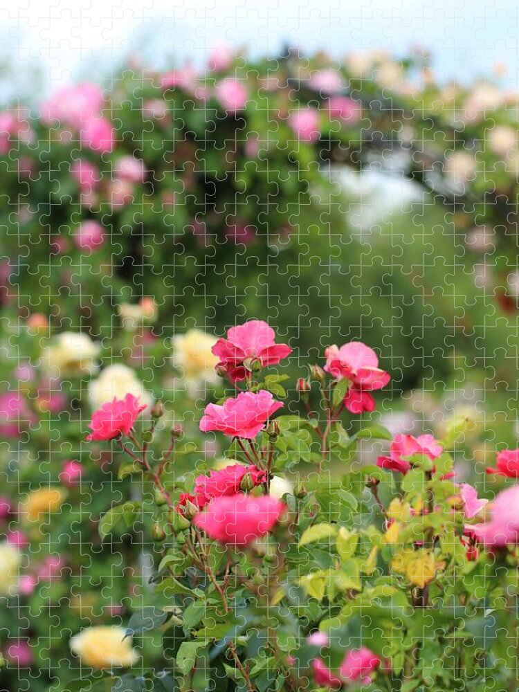 Season Jigsaw Puzzle featuring the photograph Rose Gate #1 by Fotolinchen