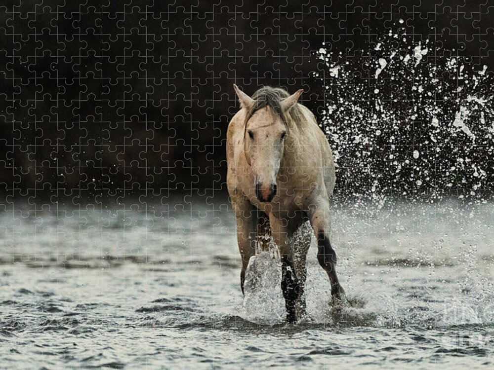 Mare Jigsaw Puzzle featuring the photograph Splashing Horse #2 by Shannon Hastings