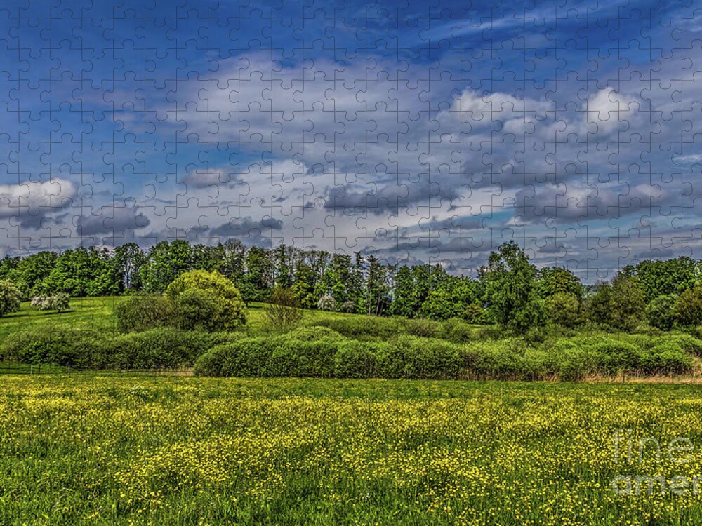 Spring Jigsaw Puzzle featuring the photograph Spring is in the air #2 by Bernd Laeschke
