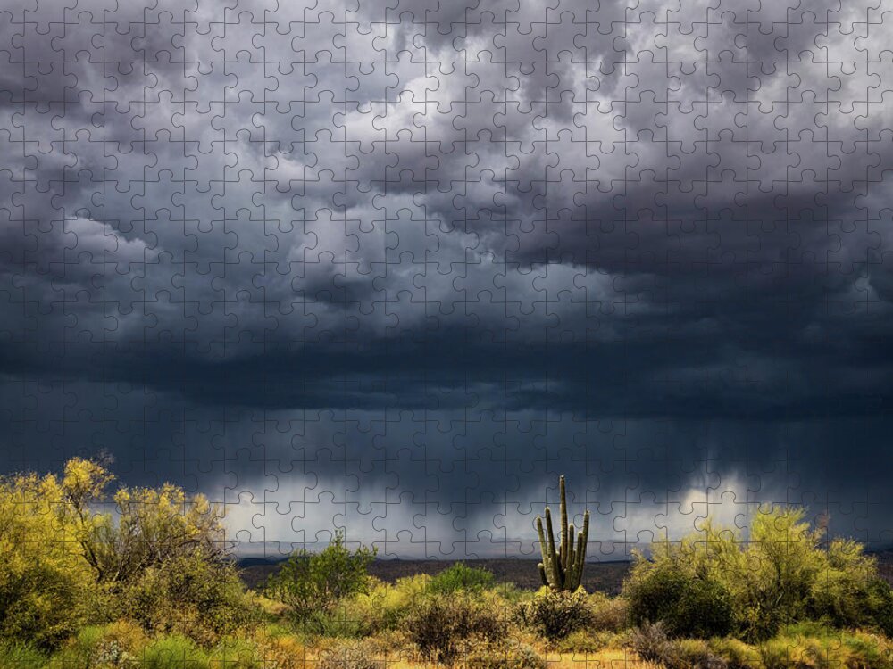 Arizona Jigsaw Puzzle featuring the photograph Stormy Arizona Skies #2 by Saija Lehtonen