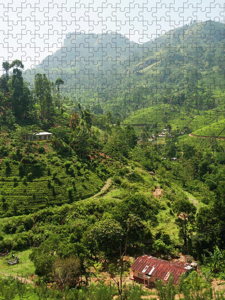 Outdoors Jigsaw Puzzle featuring the photograph Tea Plantation Landscape #1 by John Elk Iii