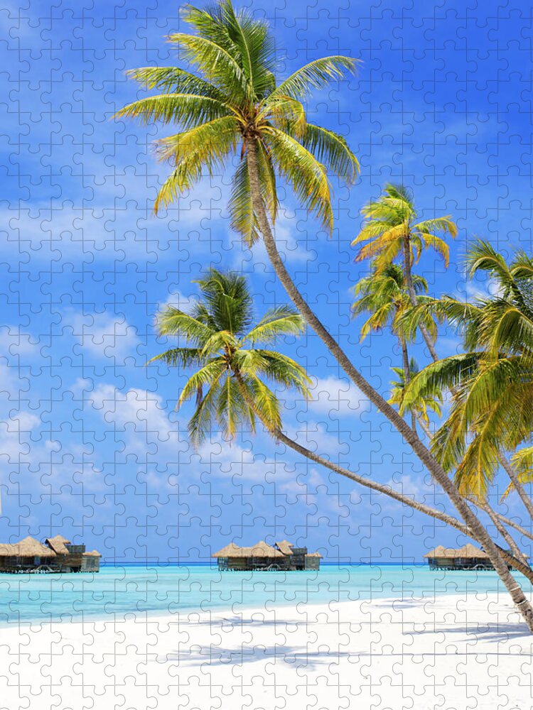 Paradise Beach (1000 Piece Puzzle) 
