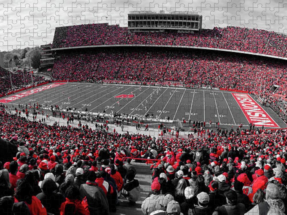 Photography Jigsaw Puzzle featuring the photograph University Of Wisconsin Football Game #1 by Panoramic Images