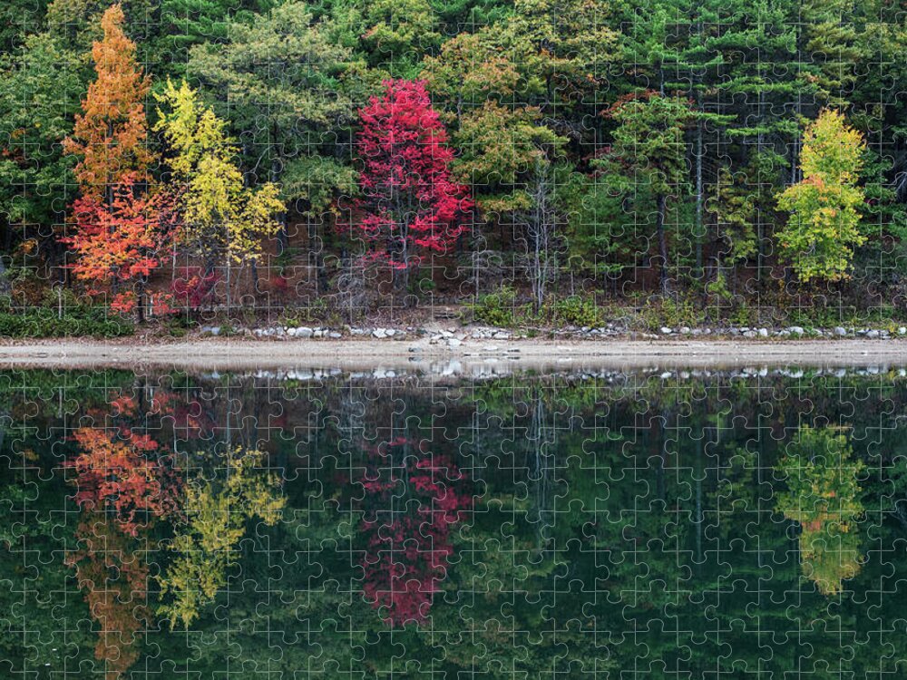 Walden Jigsaw Puzzle featuring the photograph Walden Pond Fall Foliage Concord MA Reflection Trees #1 by Toby McGuire