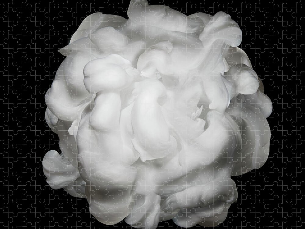 Dissolving Puzzle featuring the photograph White Ink In Water On Black Background by Biwa Studio