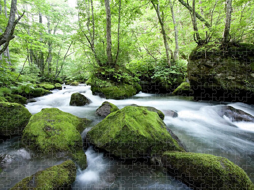 Scenics Jigsaw Puzzle featuring the photograph Woodland Stream #1 by Ooyoo