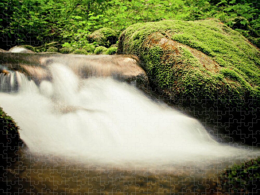 Tranquility Jigsaw Puzzle featuring the photograph Nature Environment #10 by Christopher Kimmel