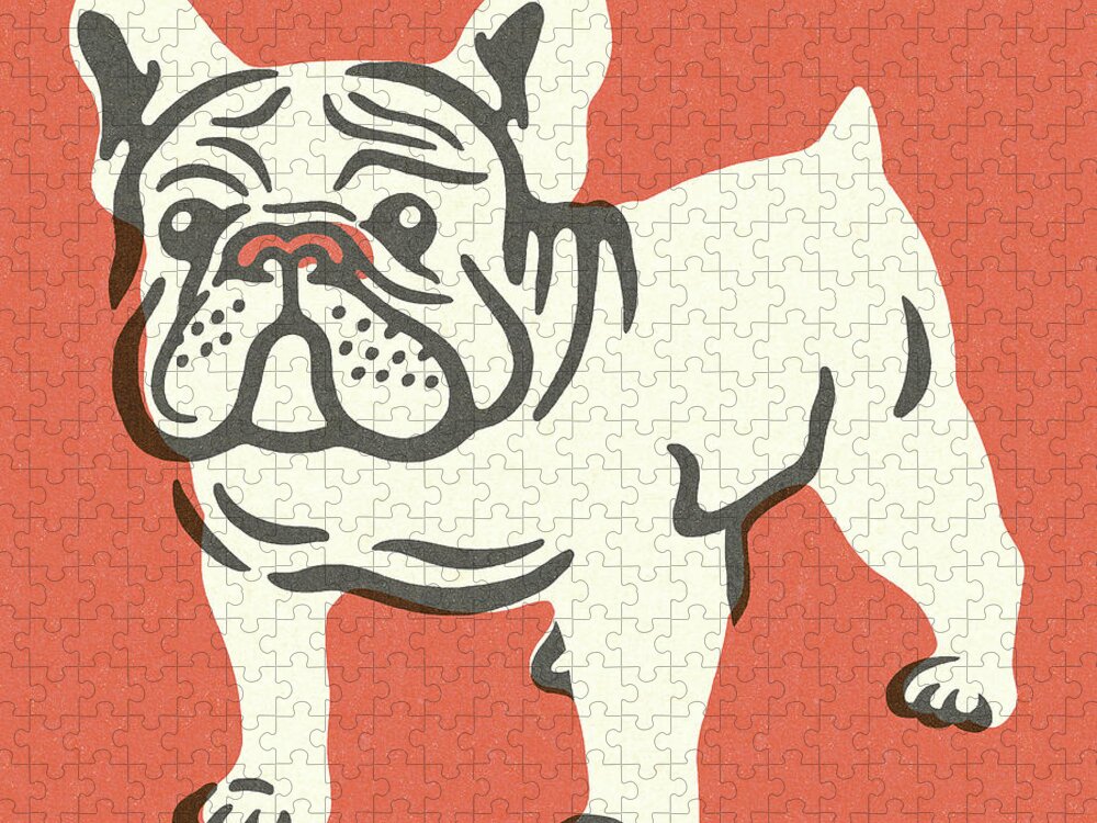 Animal Jigsaw Puzzle featuring the drawing Bulldog #11 by CSA Images