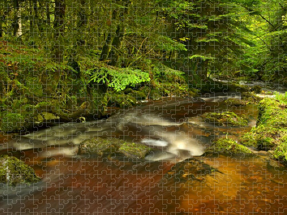 Reelig Glen Jigsaw Puzzle featuring the photograph Reelig Glen #17 by Gavin MacRae