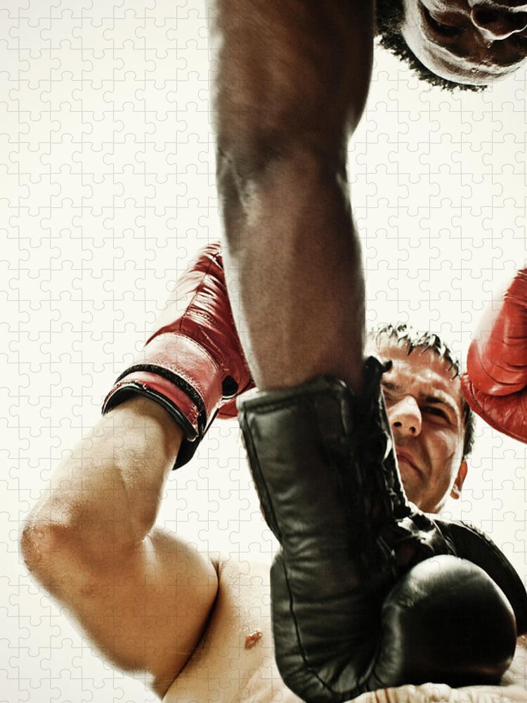 Focus Jigsaw Puzzle featuring the photograph Boxing #2 by Patrik Giardino