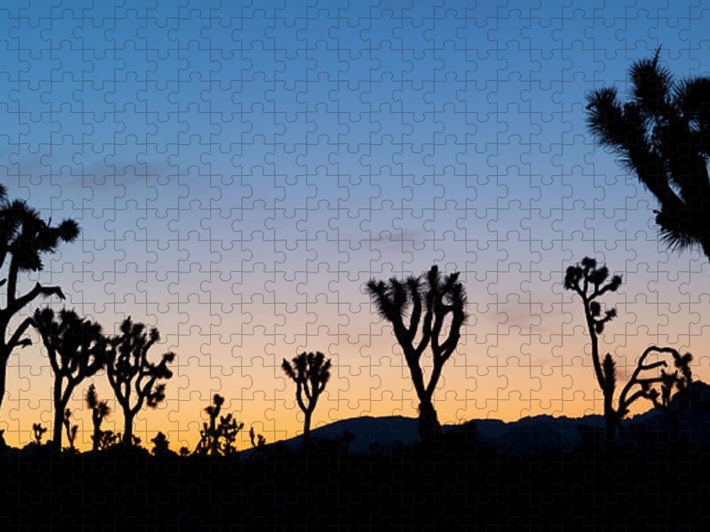 Estock Jigsaw Puzzle featuring the digital art California, Joshua Tree National Park #2 by Massimo Ripani
