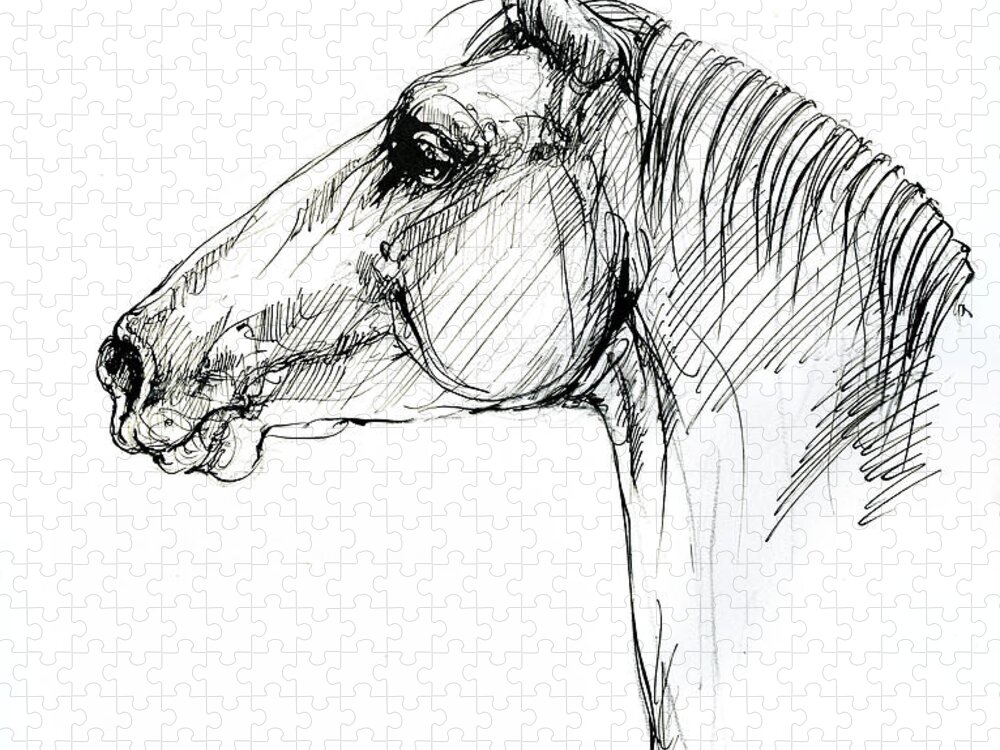 Horse Jigsaw Puzzle featuring the drawing Horse head #2 by Ang El