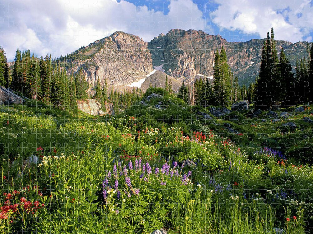 Scenics Jigsaw Puzzle featuring the photograph Landscape Of Little Cottonwood Canyon #2 by Mint Images - David Schultz