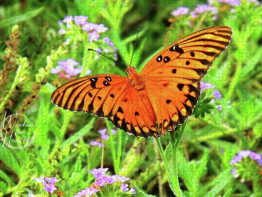 Butterfly Jigsaw Puzzle featuring the photograph Orange Butterfly #3 by Matthew Seufer