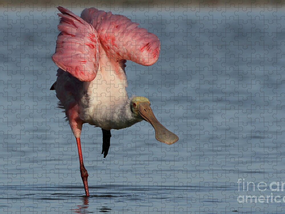 Roseate Spoonbill Jigsaw Puzzle featuring the photograph Roseate Spoonbill #2 by Meg Rousher