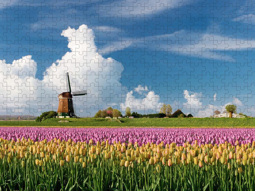 Scenics Jigsaw Puzzle featuring the photograph Spring Landscape #2 by Jacobh