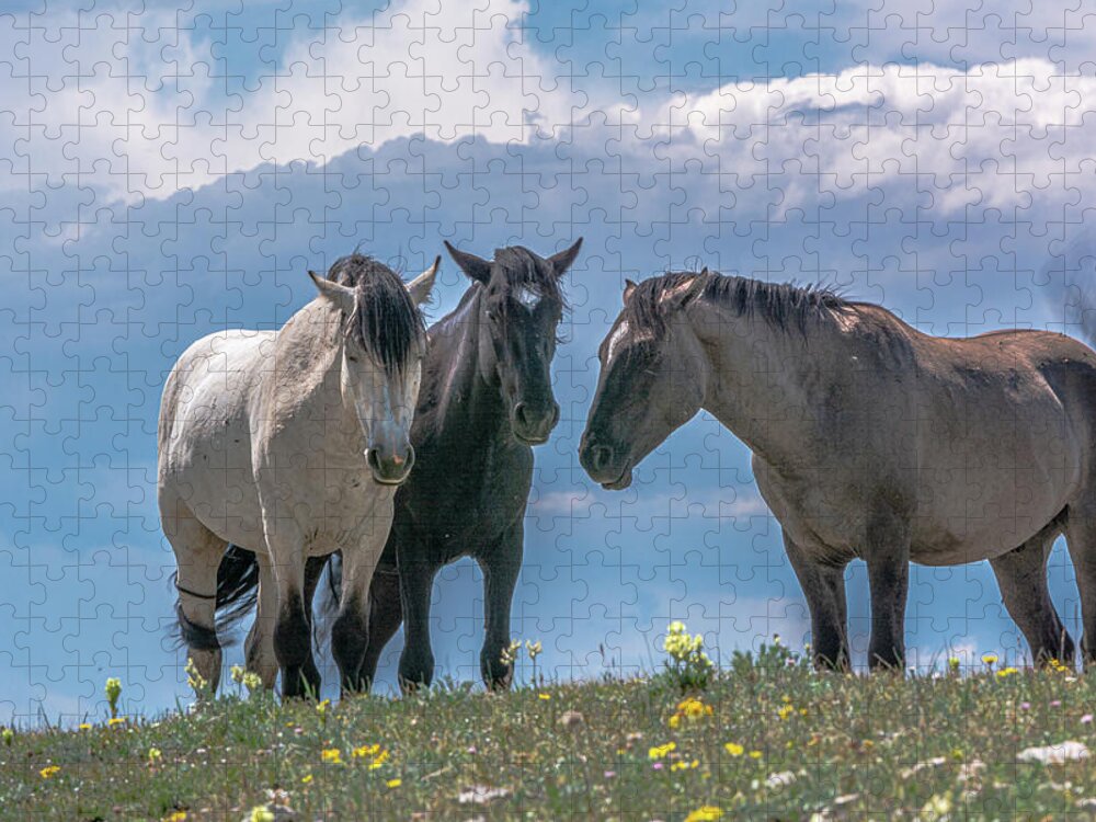 Pryor Mountain Jigsaw Puzzle featuring the photograph Wild Mustangs of Montana by Douglas Wielfaert