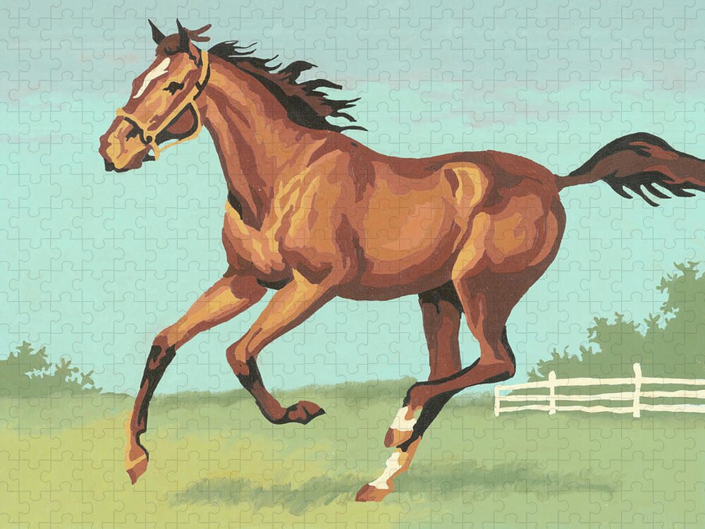 Activity Jigsaw Puzzle featuring the drawing Horse #21 by CSA Images