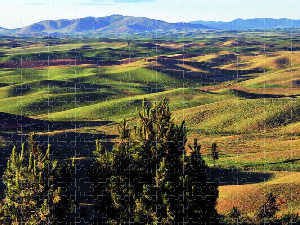 Tranquility Jigsaw Puzzle featuring the photograph Colorful Farm Landscape Of Palouse #3 by Mitch Diamond