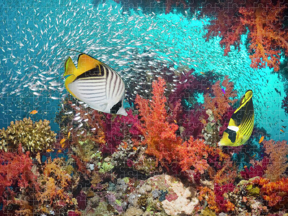 Raccoon Butterflyfish Jigsaw Puzzle featuring the photograph Coral Reef Scenery With Butterflyfish #3 by Georgette Douwma