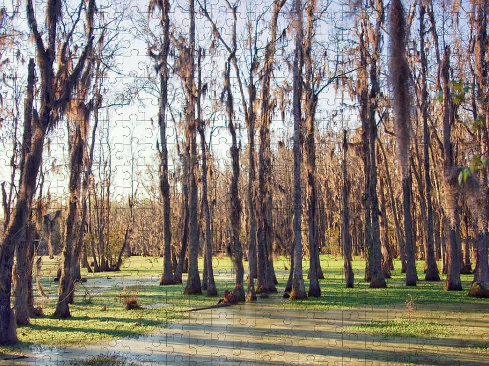 Tranquility Jigsaw Puzzle featuring the photograph Cypress Swamp In Spring. South #3 by Maria Mosolova