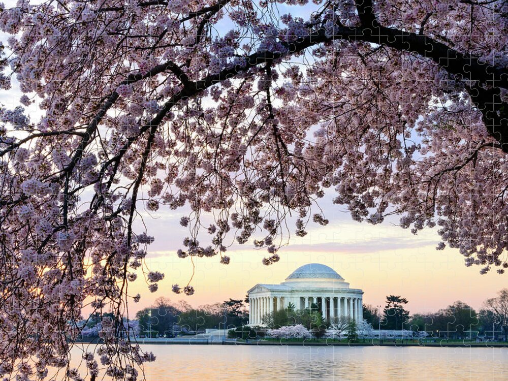 Tidal Basin Jigsaw Puzzle featuring the photograph Jefferson Memorial Framed By Cherry #3 by Ogphoto