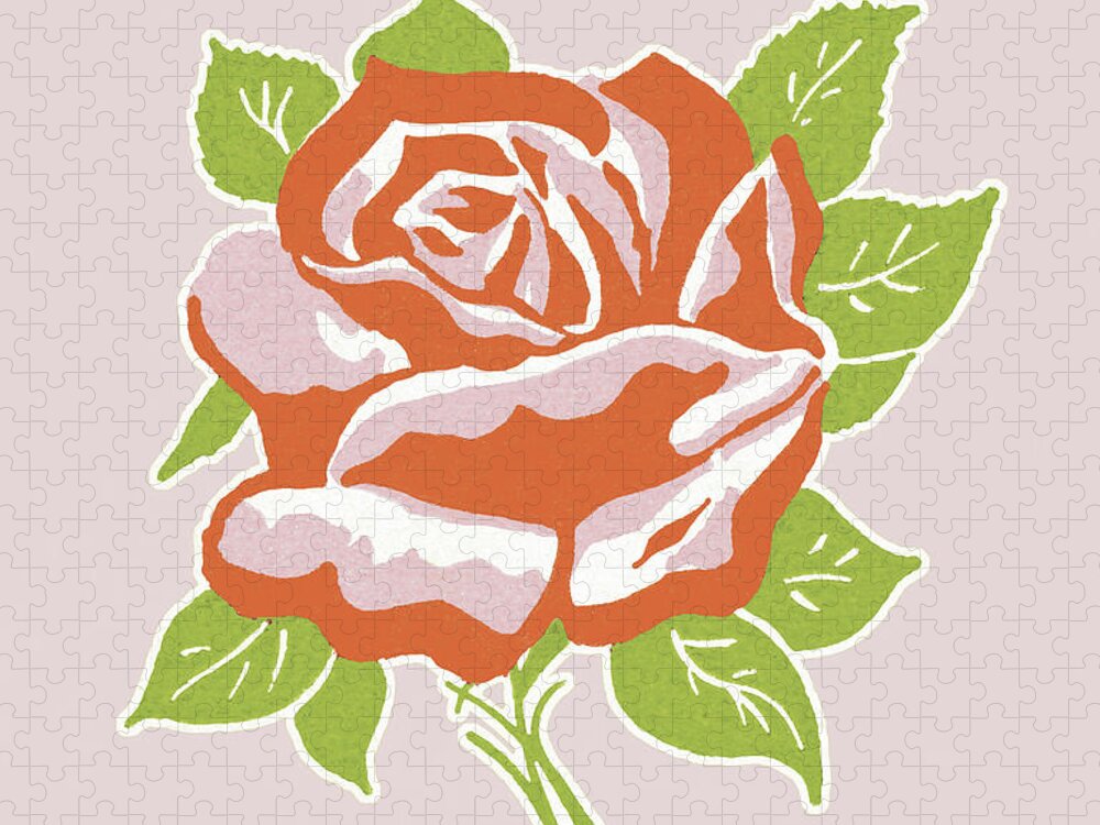 Bloom Jigsaw Puzzle featuring the drawing Red Rose #3 by CSA Images