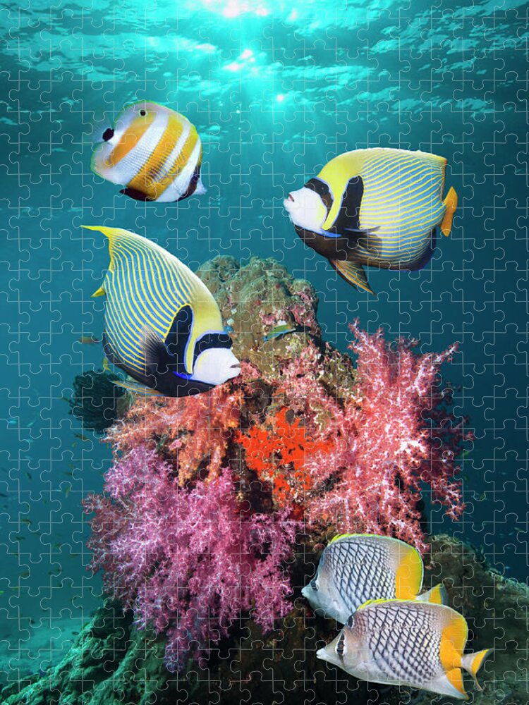 Tranquility Jigsaw Puzzle featuring the photograph Tropical Coral Reef Fish #3 by Georgette Douwma