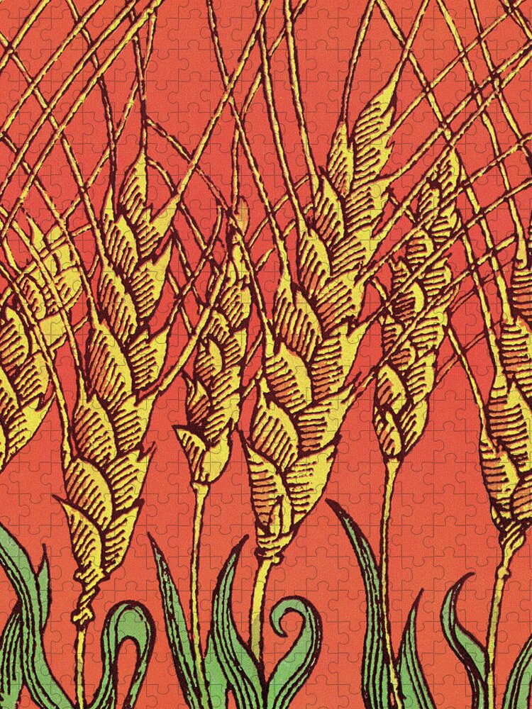 Agriculture Jigsaw Puzzle featuring the drawing Wheat #3 by CSA Images