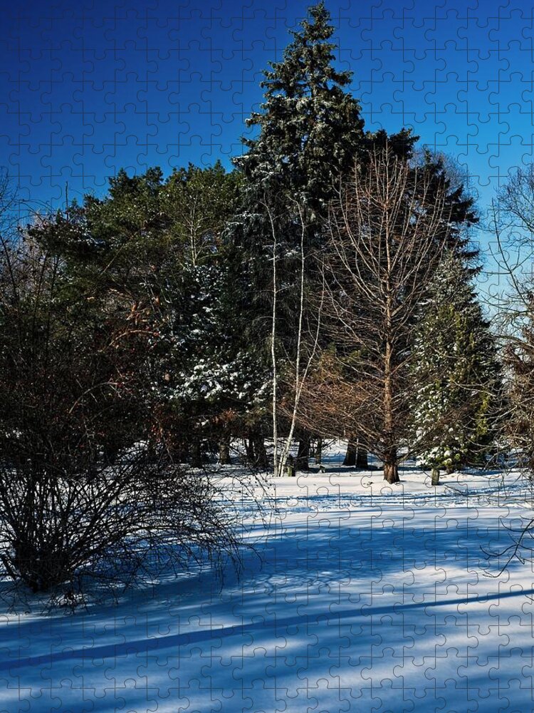 Winterpacht Jigsaw Puzzle featuring the photograph Feeling Blue #4 by Miguel Winterpacht