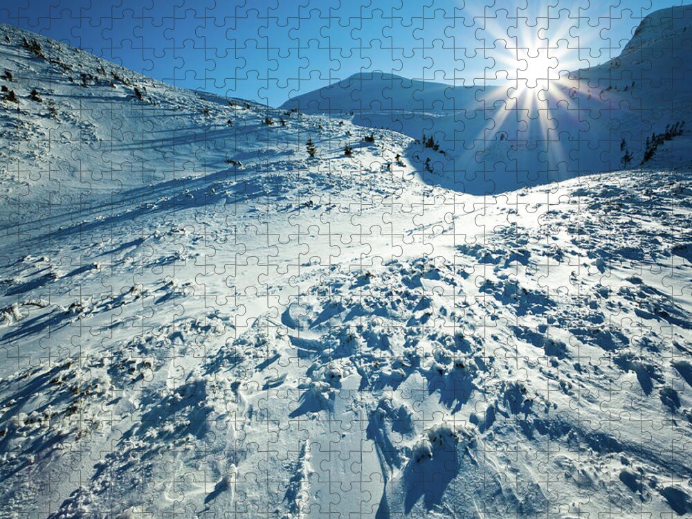Cool Attitude Jigsaw Puzzle featuring the photograph Polar Sunshine #4 by Yourapechkin