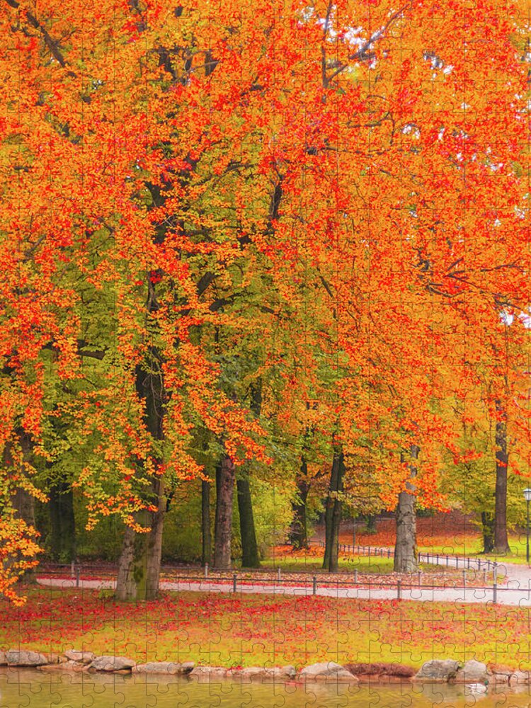 Orange Color Jigsaw Puzzle featuring the photograph Autumn Park #5 by Mmac72