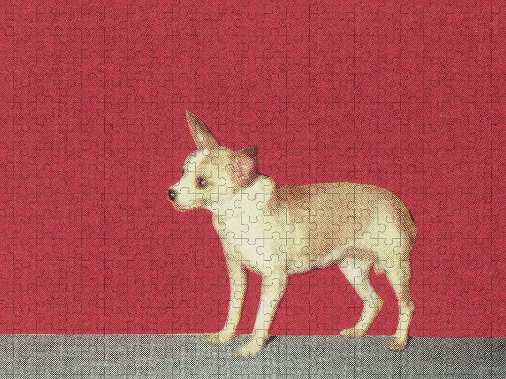 Animal Jigsaw Puzzle featuring the drawing Chihuahua by CSA Images