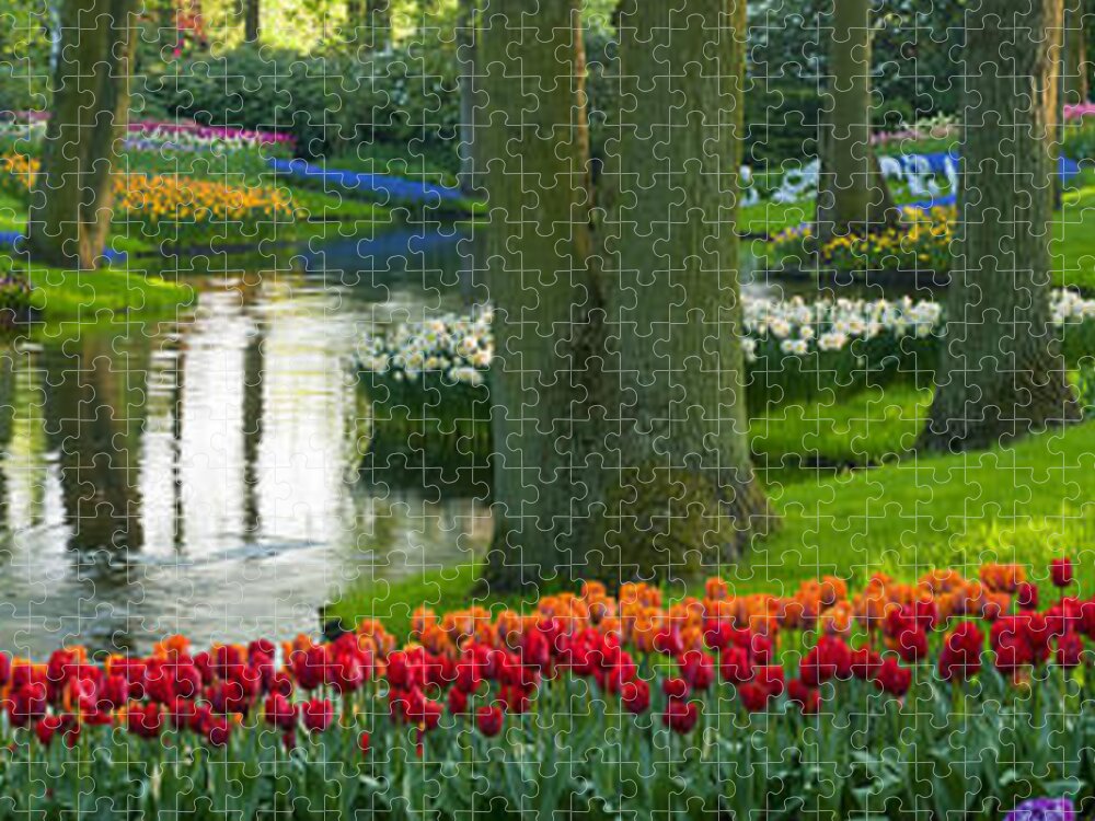 Scenics Jigsaw Puzzle featuring the photograph Spring Flowers In A Park by Jacobh
