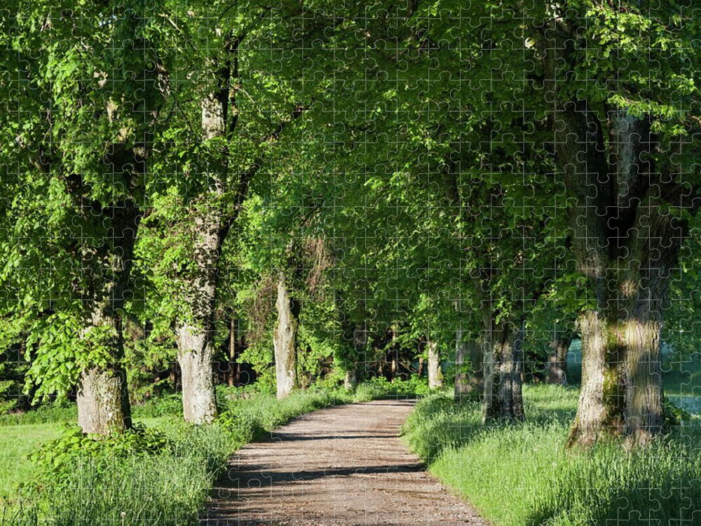 Estock Jigsaw Puzzle featuring the digital art Tree-lined Road #5 by Christian Back